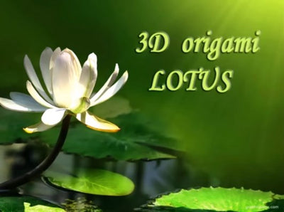 How to Make 3D Origami Lotus Flower