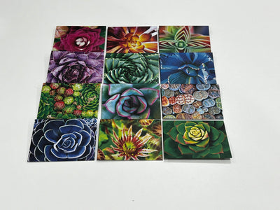 Succulents - Origami Envelopes (optional Inserts) - Gift Cards - Set of 10