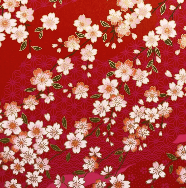 Japanese Yuzen Chiyogami Washi Paper (Y0191) – Elegant Sakura Blossoms on Red