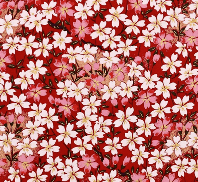 Japanese Yuzen Washi Paper Y1242 – White & Pink Cherry Blossoms on Red Chiyogami