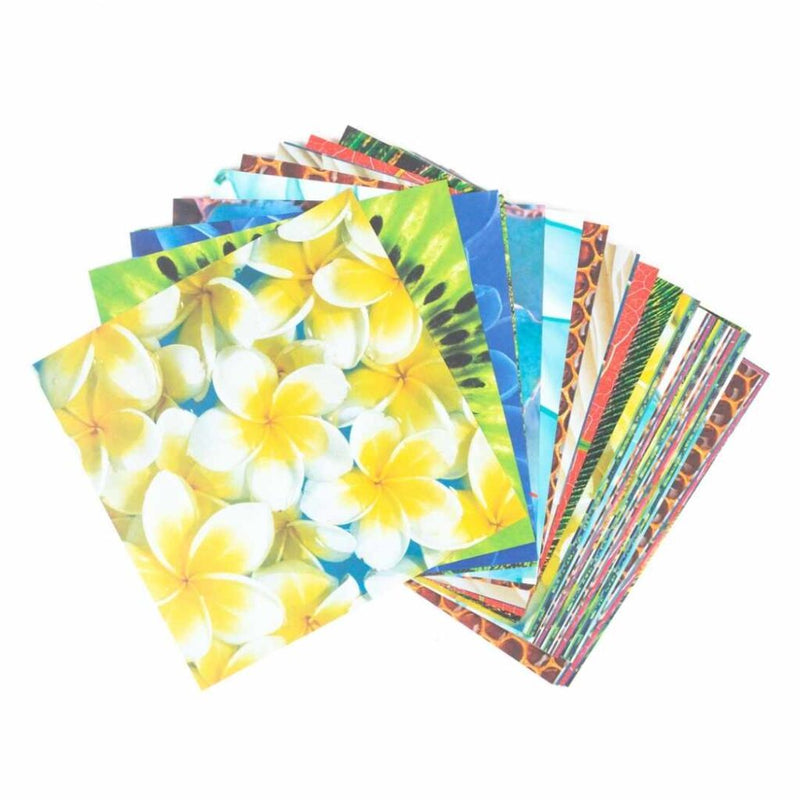Origami Paper 36 sheets with 12 Different Nature Designs 6" (15cm x 15cm)