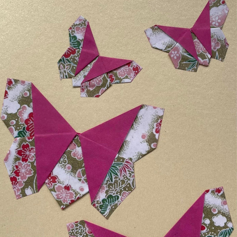 Origami Butterfly Cards - Set of 3